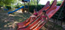 foto galeria 1