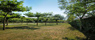 foto galeria 5