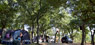 foto galeria 12