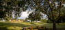 foto galeria 4