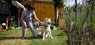 foto galeria 13