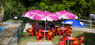 foto galeria 15